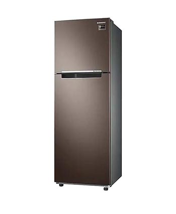 Tủ lạnh Samsung 299 lít RT29K5532DX/SV - Hình ảnh 3