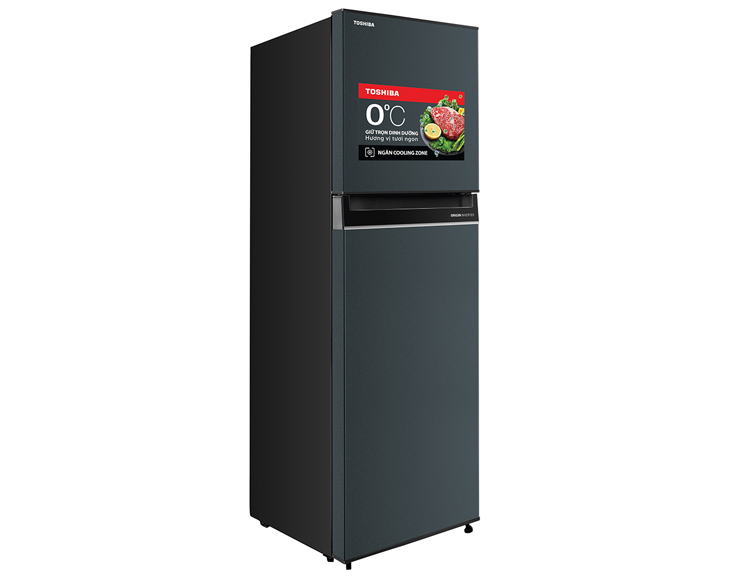 Tủ lạnh Toshiba Inverter 253 lít GR-RT329WE-PMV(52) giá tốt - góc nhìn 2