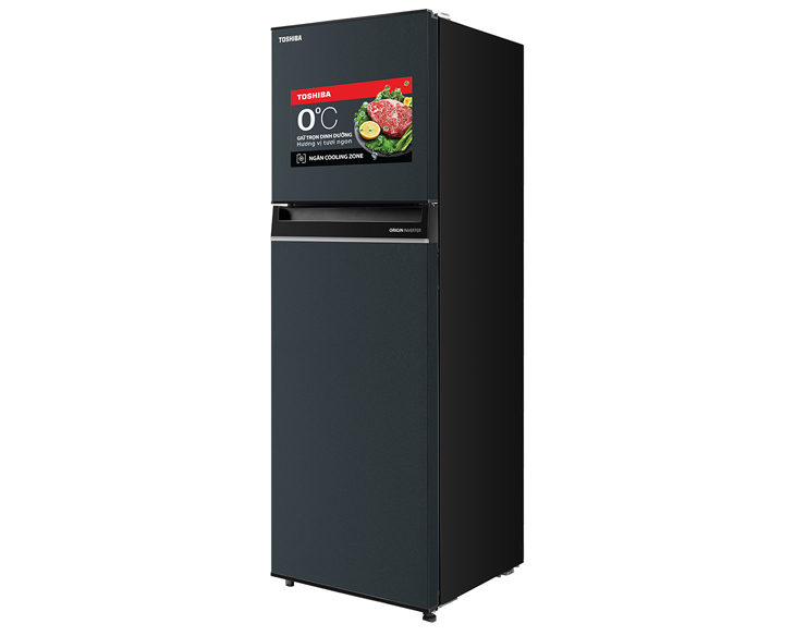 Tủ lạnh Toshiba Inverter 253 lít GR-RT329WE-PMV(52) giá tốt - hình ảnh sản phẩm