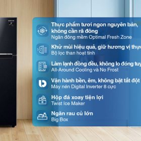 Tủ lạnh Samsung Inverter 236 lít RT22M4032BY/SV chính hãng - hình ảnh sản phẩm
