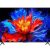 Google Tivi QLED TCL 4K 75 inch 75P8K style mới 2025 - hình ảnh sản phẩm