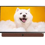 Google Tivi Xách Tay Di Động Coocaa Complete HD 24 Inch 24LP6000G - hình ảnh sản phẩm