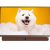 Google Tivi Xách Tay Di Động Coocaa Complete HD 24 Inch 24LP6000G - hình ảnh sản phẩm