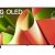 Sensible Tivi OLED LG 4K 55 Inch 55B4PSA Type 2024 - hình ảnh sản phẩm