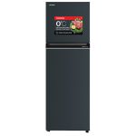 Tủ lạnh Toshiba Inverter 253 lít GR-RT329WE-PMV(52) giá tốt - hình ảnh sản phẩm
